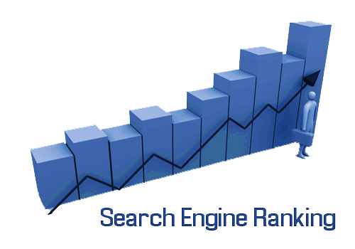 Search Engine Rankings