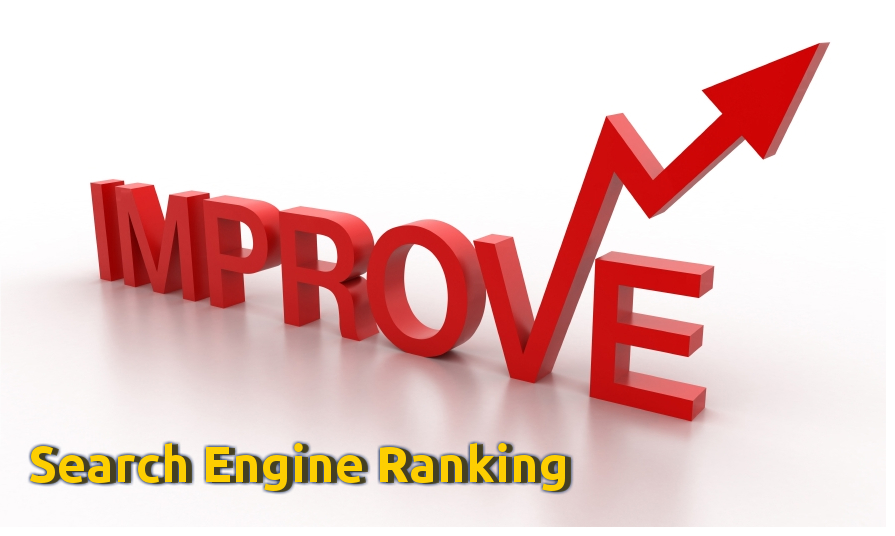 Search Engine Rankings
